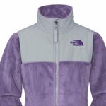 The North Face Thermal Denali Purple Jacket Photo 5
