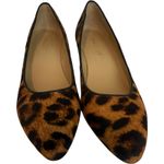 Talbots Laney Wedges Leopard Haircalf Print Pumps Women's 8 Brown Black Photo 1