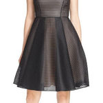 Ted Baker London Sheer Black Mini Dress Photo 0