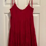 Naked Zebra Dress Photo 0