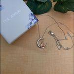 Fox and Crescent Moon Sterling Silver and Rose Gold Necklace Photo 1