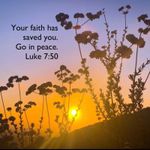 Free People  Lola Choker in Black NWT Cross Bohemian Velvet Necklace Photo 11