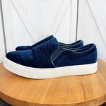 ALDO  Embossed Velvet Slip‎ On Sneakers Blue White Size 7.5 Photo 1