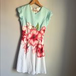 Ted Baker  Maevea Nectar Floral Dress 0 Photo 1