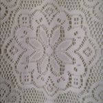 Sag Harbor FINAL MARKDOWN Ladies  Woman Lace Overlay Top (2X) Photo 3