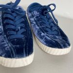 Madewell  x Tretorn Blue Velvet Low Tops Lace up Sneakers Shoes Size 9 Photo 1