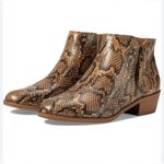 Zodiac  Brown & Tan Snake Multi Ankle Boots(6M) Photo 2