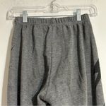 Aviator Nation Bolt 4 Sweatpants Grey Size Small Photo 7