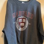 Champion Harvard University Hoodie Photo 0