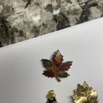 Lot Of 3 Brooch Pins Autumn Fall Thanksgiving season Photo 1