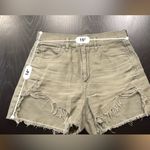American Eagle  Outfitters Olive Cargo Shorts Sz8 Photo 4