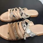 Charles David  Tan and Cream Sandals with Modern Straps Photo 0