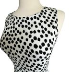 Loft Petites black polka dot dress size PL Midi Fit and Flare Classic Mod Chic Photo 3