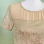 Adrienne  Gold Beige Sheer Textured Top Blouse S Photo 1