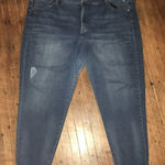 Lane Bryant  distressed super stretch skinny jeans Photo 0