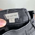 Madewell Cali Demi-Boot Jeans in Tobin Wash: Inset-Leg Edition Size 24 Photo 8