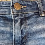 BKE  Light Blue Jean Shorts Photo 1