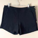 BANANA REPUBLIC FACTORY | Black Trouser Dress Shorts Sz 6 Photo 0