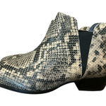 Seychelles  Waiting For You Snake Print Chelsea‎ Boot / Size 7.5 NEW Photo 0
