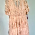 Haute Monde Peach Lace Dress Photo 4