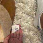 The Comfy  Slippers  Photo 2