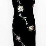 Dress Barn Embroidery Dress 4 Photo 0