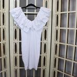 ZARA  White Eyelet Ruffle Collar Bodycon Mini Dress NWOT Photo 3