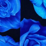 Timing Blue Floral Dress Photo 33