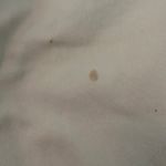 Levi's Vintage Levi’s 550 Jeans Photo 1