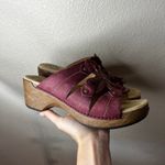 Dansko  Serena Floral Slip On Wedge Sandals in sangria waxy leather 39 Photo 2