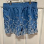 J.Crew - Womens M - Blue/White Floral Eyelet Embroidered Pull-On Shorts Photo 2