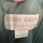 Birdy Grey Soft Green Dress Sheer outer layer Size XL event formal bridesmaid Photo 5
