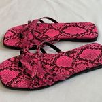14th & Union  Caite Hot Pink & Black Python Print Slip On Strappy Sandals Photo 2