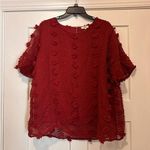 Entro Modest High Neck Lined Sheer Sleeve Blouse Top Dotted Swiss Boho Size Xl Photo 0