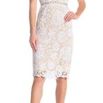 LOVE x DESIGN White Lace Lattice Taupe Shell Sleeveless Mini Dress Size XS Photo 3