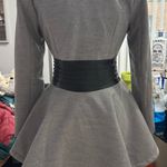 Venus  gray coat Photo 2