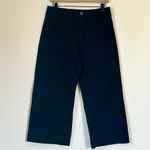 Anthropologie Maeve by Black The Colette Ponte Crop Wide-Leg Pants - Size 30P Photo 1