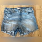 Levi's Levi Strauss Signature Heritage High Rise 5" Shorts Size 18/34 Photo 2