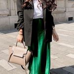 ZARA Blogger’s Fav| NWT Satin Effect Midi Skirt Photo 13