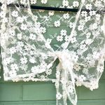 Nasty Gal collection sheer crop top Photo 5