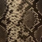 Vigoss Snake Skin Mini Skirt Neutral Colored L Photo 5