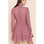 NWT Womens Francesca’s Collections Trixxi Chiffon Clip Swiss Dot Dress Photo 1