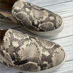 Steve Madden  Slip Ons Vans Slides Model Womens Size 8.5 Photo 4