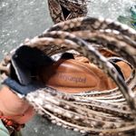 Jeffrey Campbell  Despina Strappy Sandal Snake Print Photo 5