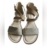 Aerosoles LifeStride Riley Strappy Sandals. Gold Upper with Snakeskin Pattern Heel. Sz 9.5 Photo 2