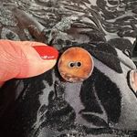 Vintage‎ Harvest Velvet Women's Crushed Velvet Button Front Blazer Black Small Photo 3