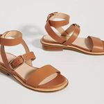 Anthropologie Pilcro Casual Gladiator Sandals Photo 0
