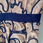 Reiss  Esther Blush Pink Navy Blue Embroidered Lace Dress size 8 Photo 9