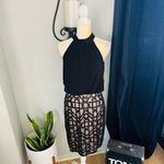 Vince Camuto Sequin Detail Halter Neck Cocktail Dress, Black, Size 4, NWT Photo 5