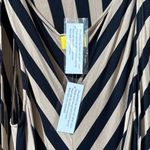 Liz Lange   Black and Tan Striped Dress Photo 4